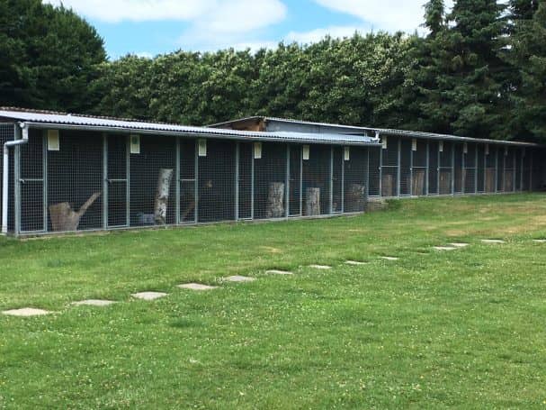 Außenanlage von außen: das langgestreckte Gehegegebäude an der Hecke