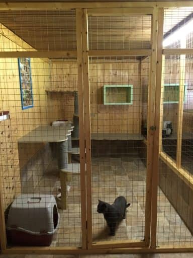 Haus 1, Einzelhaltung 1: Blick durch die Gittertür auf die Liegeflächen
