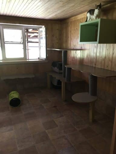 Haus 1, Einzelhaltung 3: Fenster mit mehreren Podestebenen