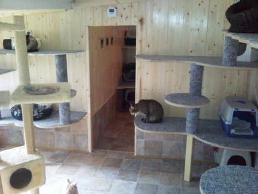 Haus 1, Innenbereich: Blick durch die Tür in den Nachbarraum mit Kratzbäumen