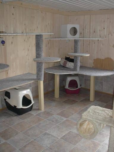 Haus 1, Innenbereich: Kratzstämme bis zur Decke, daneben eine Haubentoilette