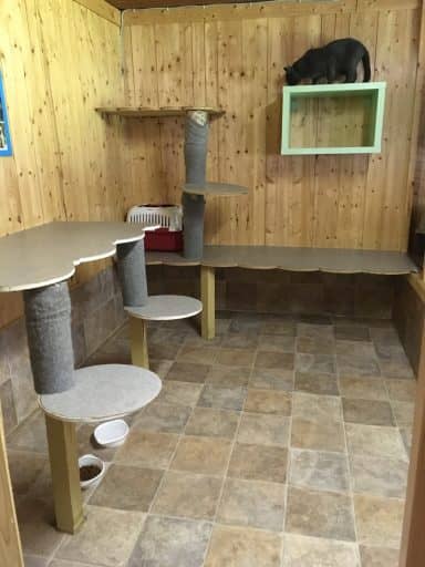 Haus 1, Einzelhaltung 1: Holzwand mit Wandpodesten und Kratzstamm