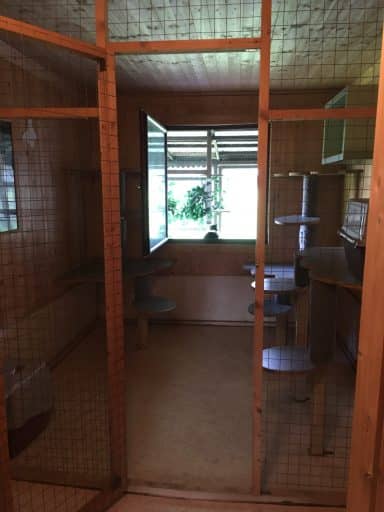 Haus 2, Einzelhaltung 1 mit Außenbereich: vergittertes Fenster und Kratzbaum