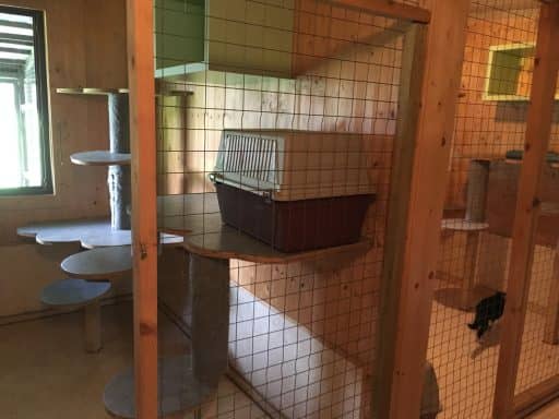 Haus 2, Einzelhaltung 1: Korb auf einem Podest an der Holzverkleidung